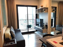 Wyne Sukhumvit 1 bedroom condo for rent and sale - Condominium - Phra Khanong - Phra Khanong